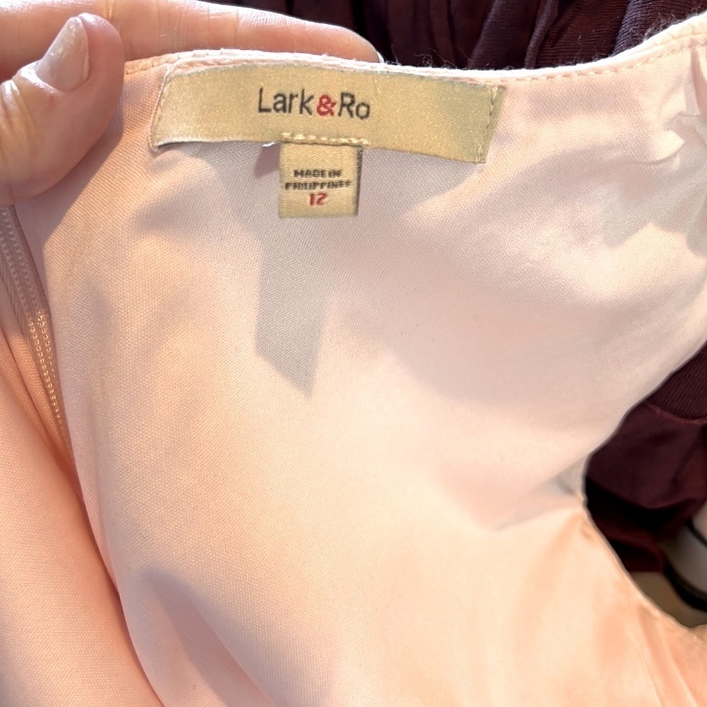 Lark & Ro Peach Pink Textured V Neck Fit Flare Church Brunch Dress Lined Size 12 - Picture 5 of 10